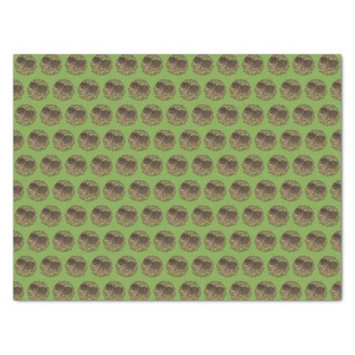 Pomeranian _ Sable _ Wreath Tissue Paper