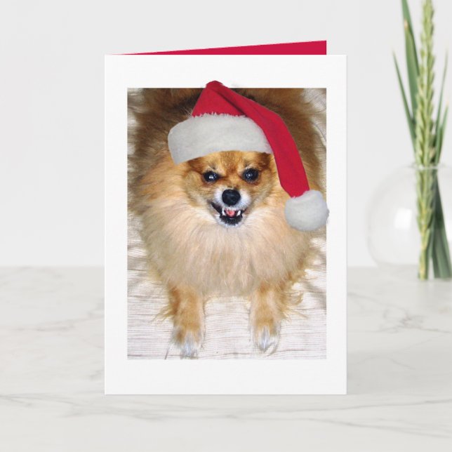 Pomeranian Santa Christmas Card (Front)