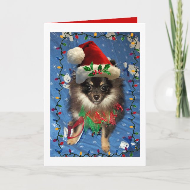 POMERANIAN SANTA HOLIDAY CARD (Front)