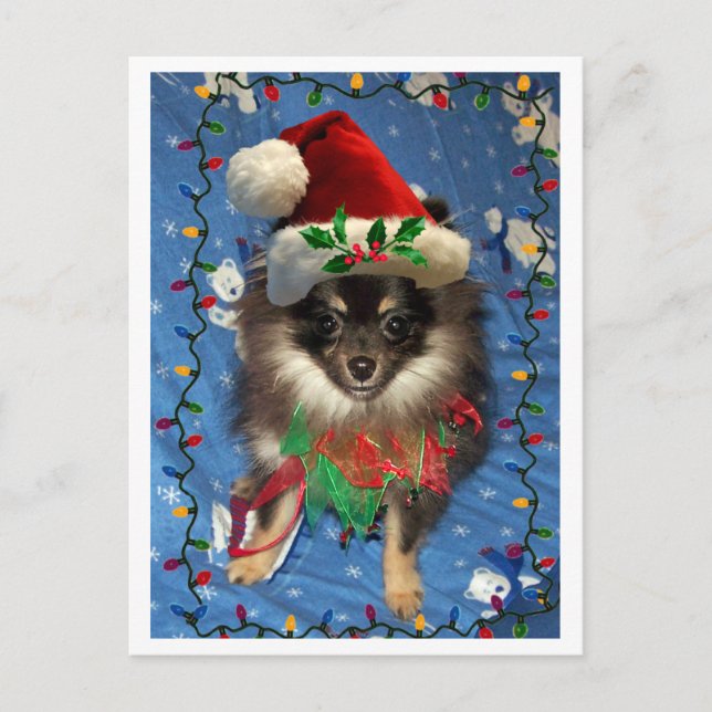 POMERANIAN SANTA HOLIDAY POSTCARD (Front)