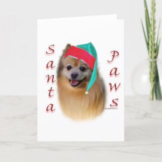 Pomeranian Santa Paws Holiday Card