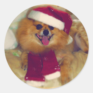 Pomeranian Santa Xmas stickers