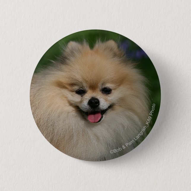 Pomeranian Smiling Button (Front)