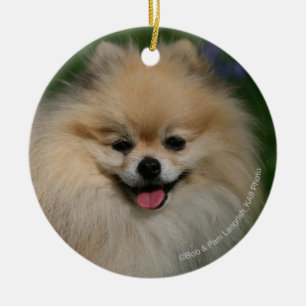 Pomeranian Smiling Ceramic Ornament