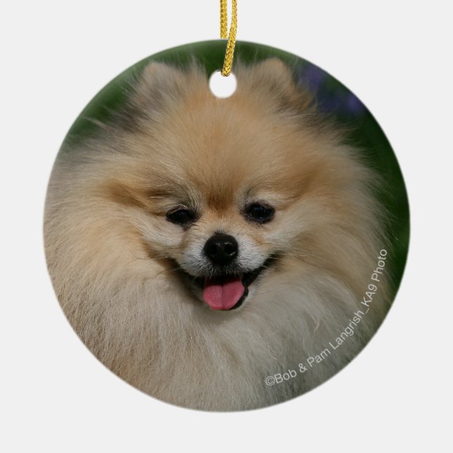 Pomeranian Smiling Ceramic Ornament (Front)