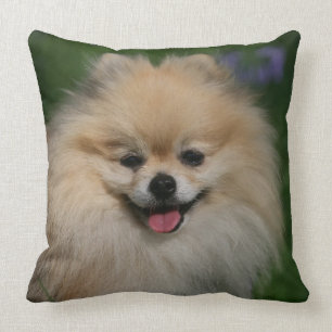 Pomeranian Smiling Throw Pillow