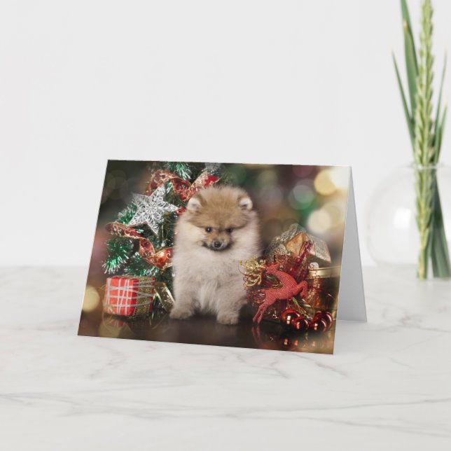 Pomeranian Spitz, Christmas Puppy Holiday Card (Front)