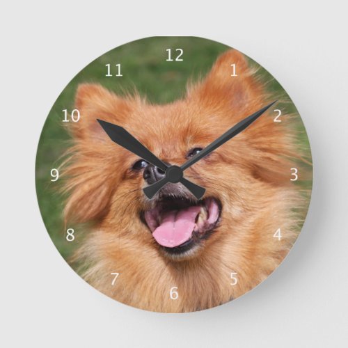 Pomeranian Spitz dog cute beautiful photo Round Clock