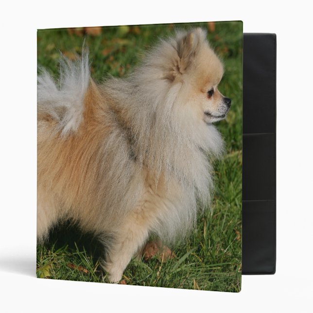 Pomeranian Standing Binder (Front/Inside)