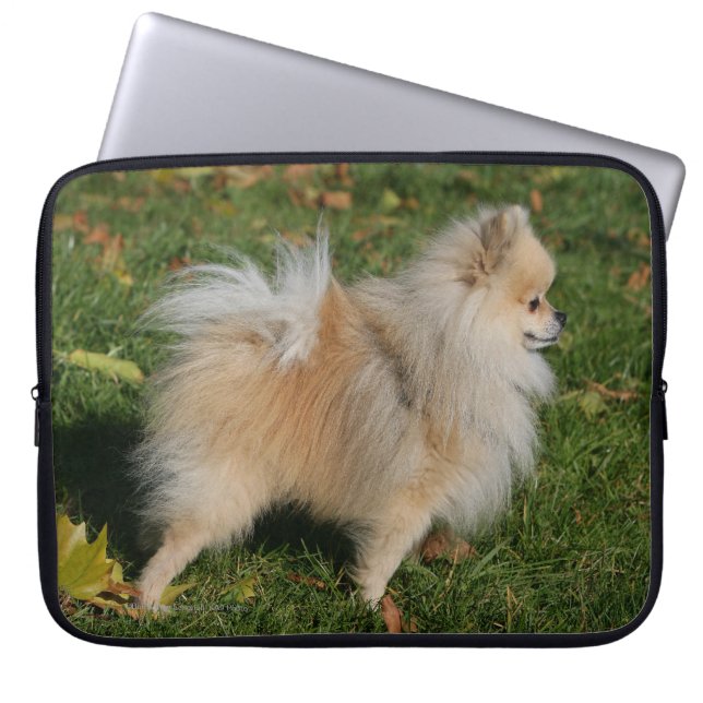 Pomeranian Standing Laptop Sleeve (Front)