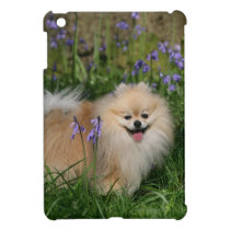 Pomeranian Standing Looking at Camera iPad Mini Case