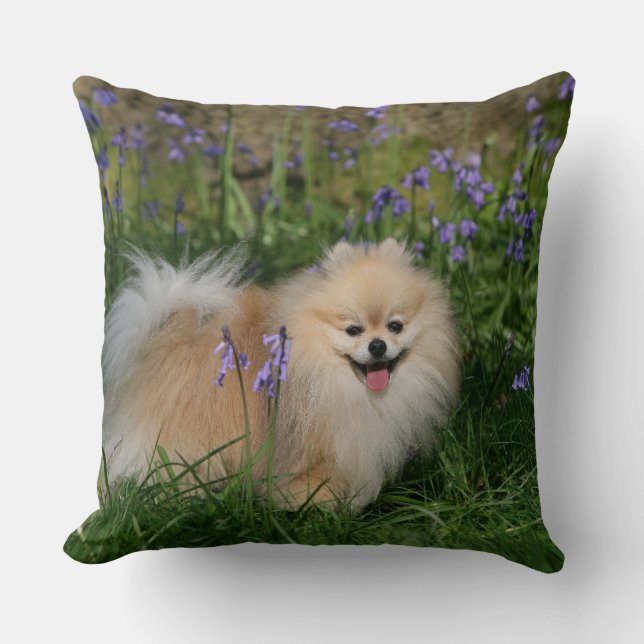 Pomeranian Standing Looking at Camera Throw Pillow (Front)