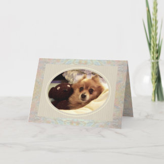 Pomeranian & Teddy bear Get Well Card