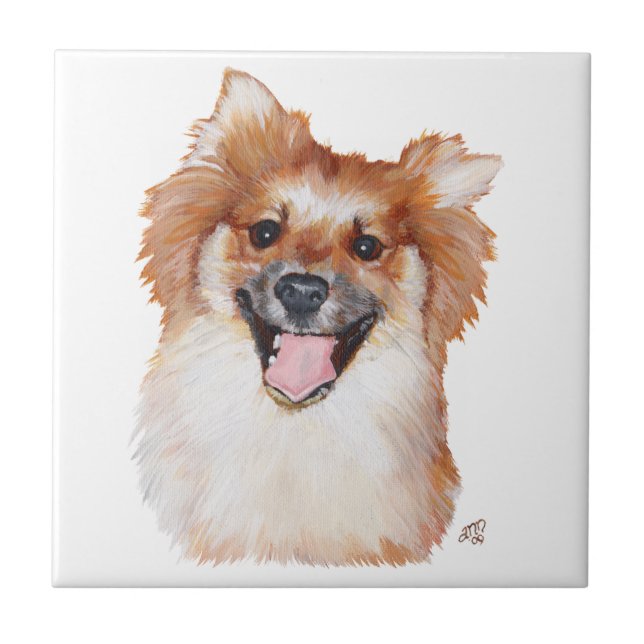 Pomeranian Tile (Front)