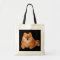 Pomeranian Tote Bag