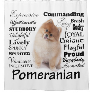 Pomeranian Traits Shower Curtain