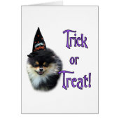 Pomeranian Trick (Front)
