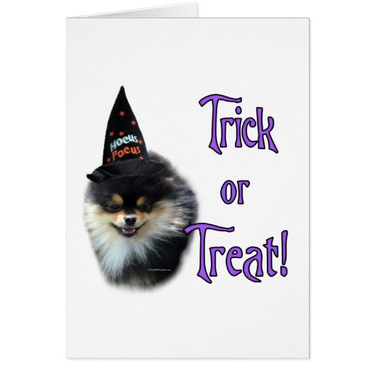 Pomeranian Trick Cards (Front)