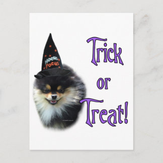 Pomeranian Trick Postcard