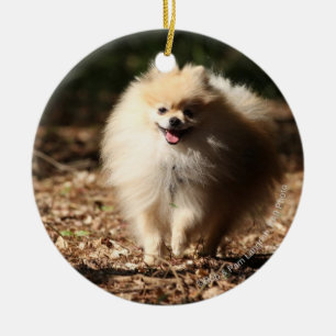 Pomeranian Trotting in the Fallen Leaves Ceramic Ornament