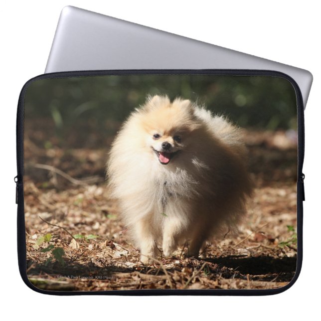 Pomeranian Trotting in the Fallen Leaves Laptop Sleeve (Front)