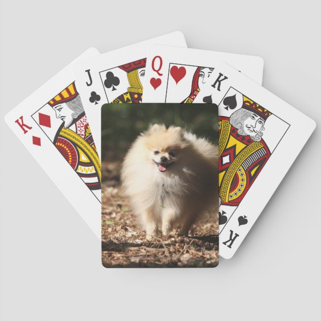 Pomeranian Trotting in the Fallen Leaves Poker Cards (Back)