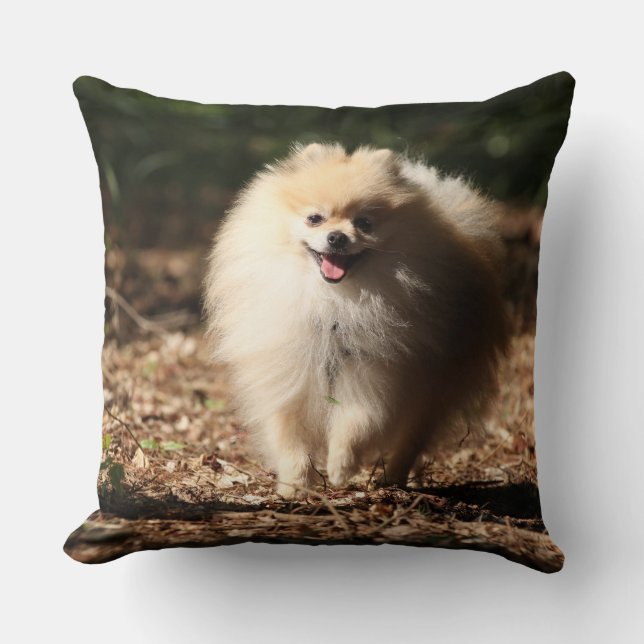 Pomeranian Trotting in the Fallen Leaves Throw Pillow (Front)