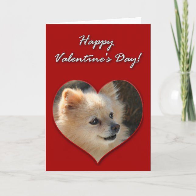 Pomeranian Valentines Day Card (Front)