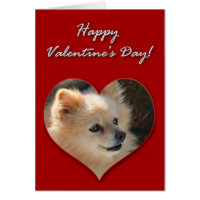 Pomeranian Valentines Day Card
