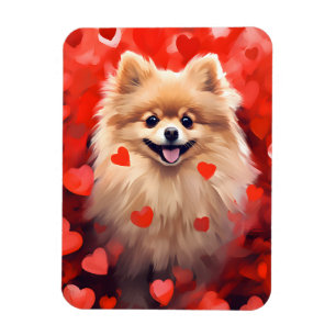 Pomeranian Valentines day Magnet