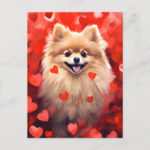 Pomeranian Valentines day