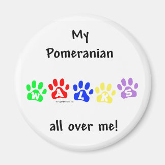 Pomeranian Walks All Over Me - Magnet