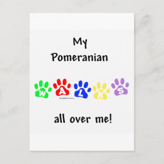 Pomeranian Walks All Over Me Postcard
