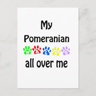 Pomeranian Walks Design Postcard