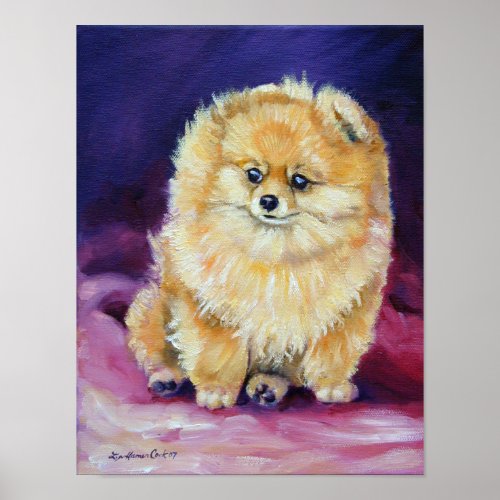 Pomeranian Wall Print Poster