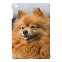 Pomeranian Watching Case For The iPad Mini