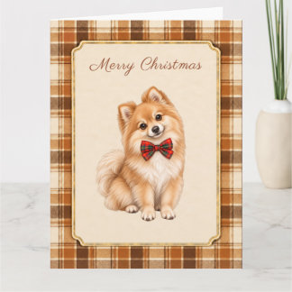 Pomeranian Winter Christmas Card