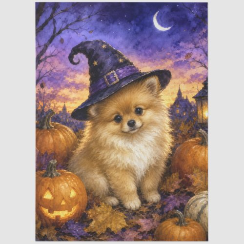 Pomeranian Witch Hat Pumpkin Tissue Paper