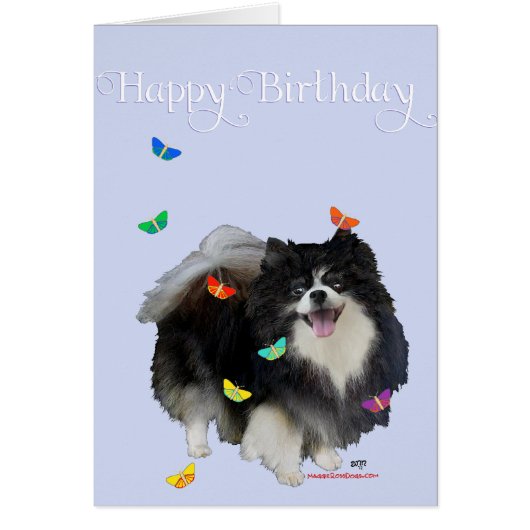 Pomeranian with Butterflies (Front)