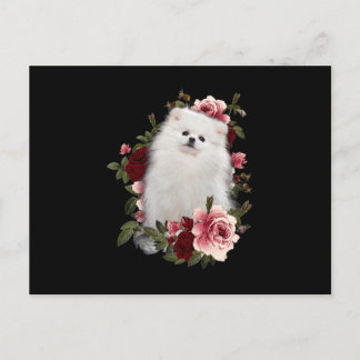 Pomeranian With Flower Postcard