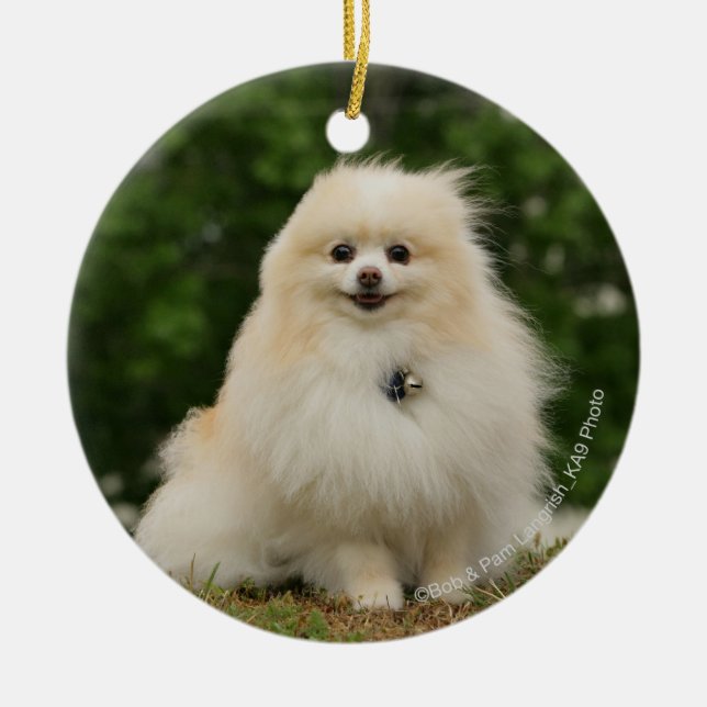 Pomeraning Sitting Ceramic Ornament (Front)