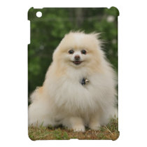 Pomeraning Sitting Cover For The iPad Mini