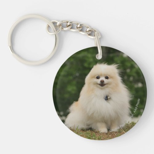 Pomeraning Sitting Keychain