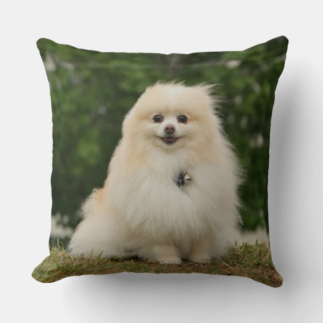 Pomeraning Sitting Throw Pillow (Front)