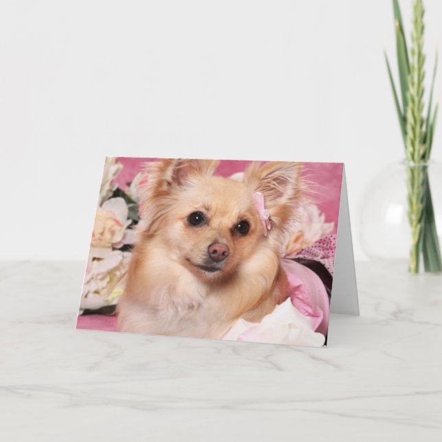 Pomerian Valentine Card (Front)