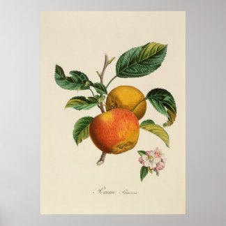 Pomme Princesse Poster