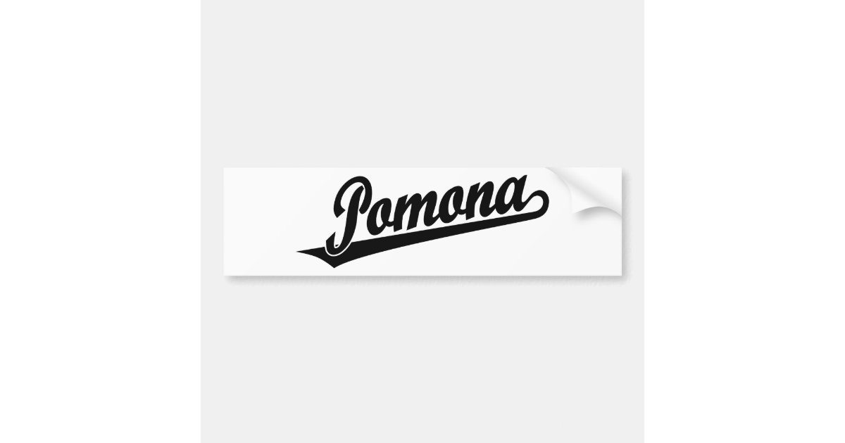 Los Angeles Custom Letters Script  Sticker for Sale by Custom