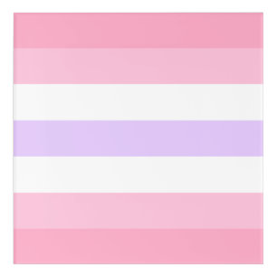 Pomosexual Acrylic Wall Art