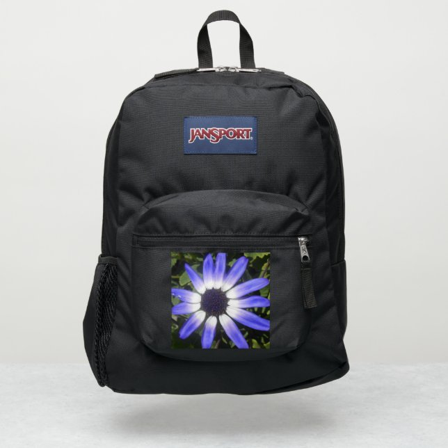 Pompeia JanSport Backpack (Front)