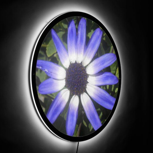 Pompeia LED Sign (Angle)